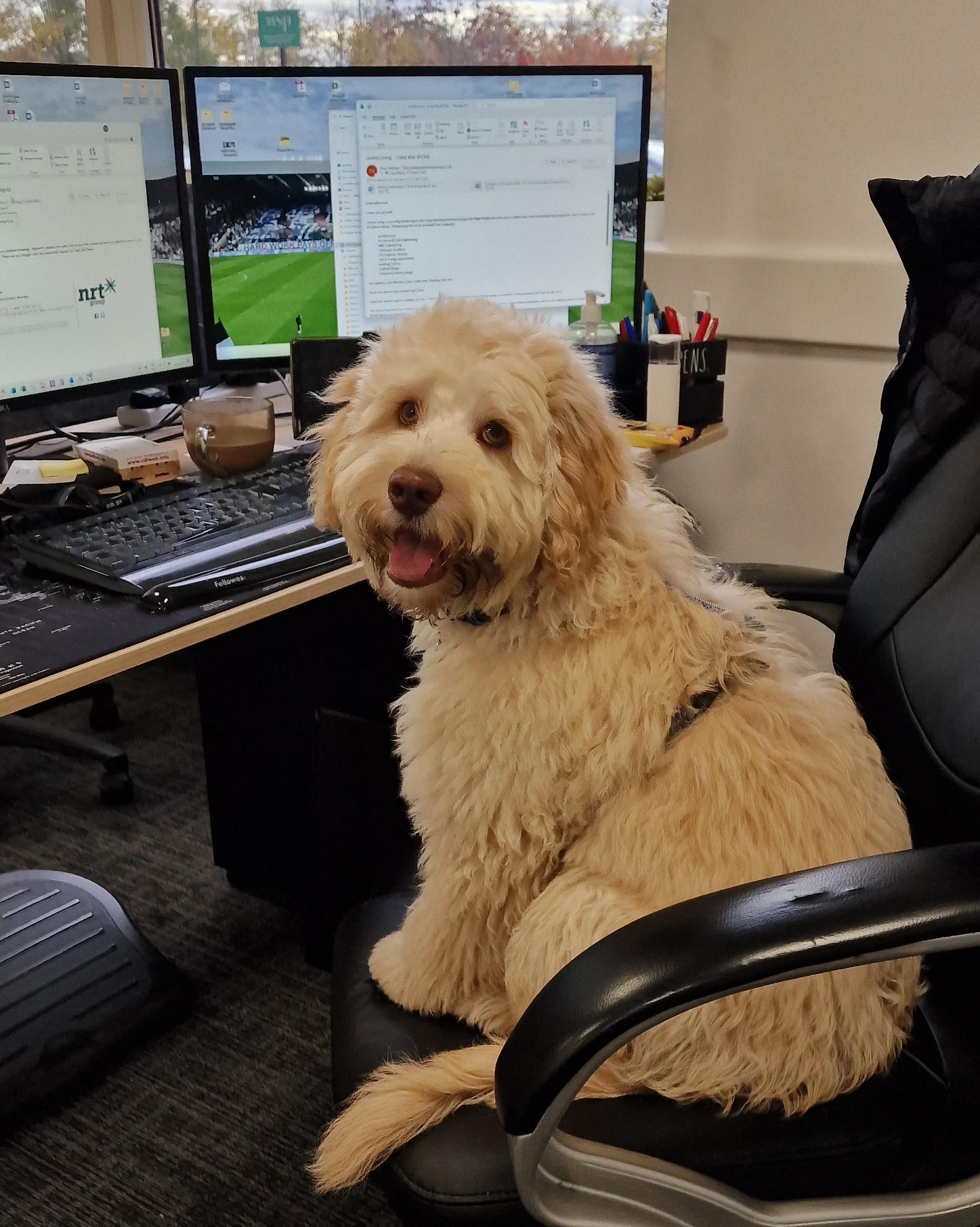 Avatar image for Oakley - Head of Wellbeing